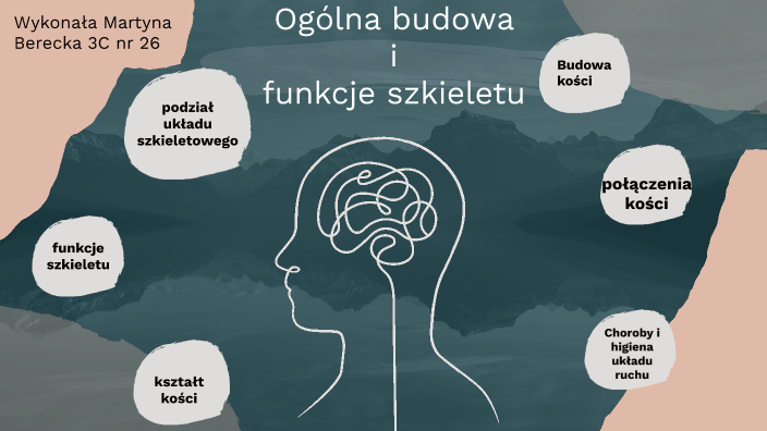 Ogólna budowa i funkcje szkieletu by xmarti iad on Prezi