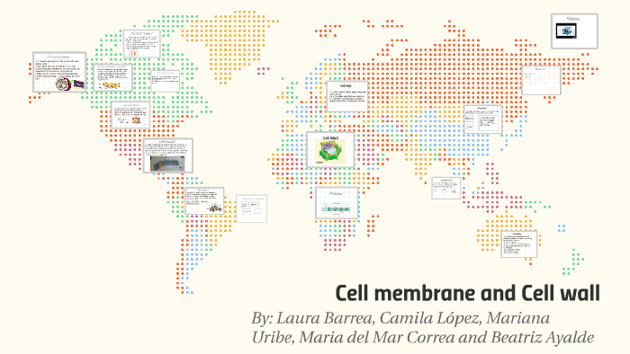biologia cell wall and cell membrane by mariana uribe on Prezi