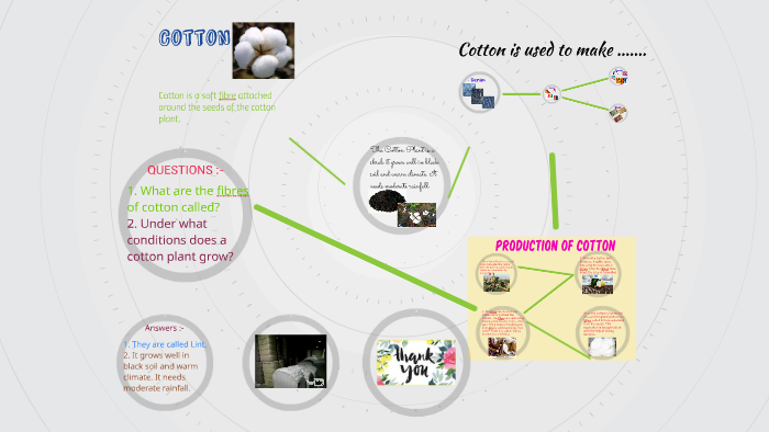 Cotton by on Prezi