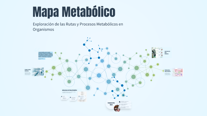Mapa Metabólico by Mile Sanchez solis on Prezi