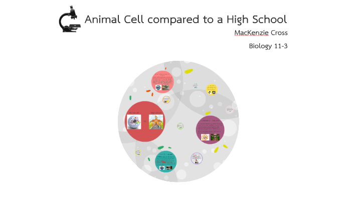 Animal Cell vs. High School by MacKenzie Cross on Prezi