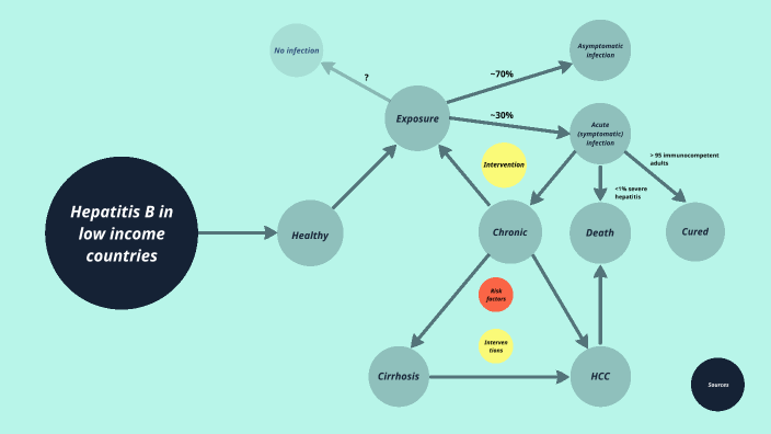 Hepatitis B by Hanne Theys on Prezi
