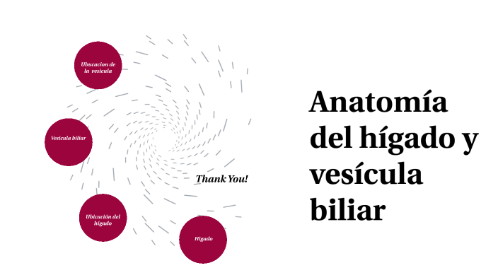 Anatomia del hígado y vesicula biliar by Ana Paola Osorio on Prezi