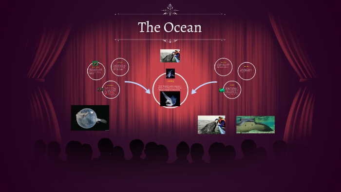The Ocean by Christine Caffey on Prezi