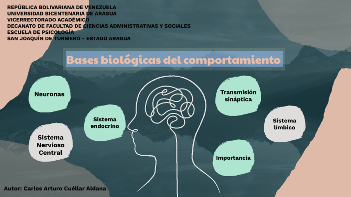 Bases Biológicas Del Comportamiento By Carlos Cuellar On Prezi