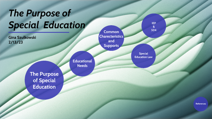 the-purpose-of-special-education-by-gina-szulkowski