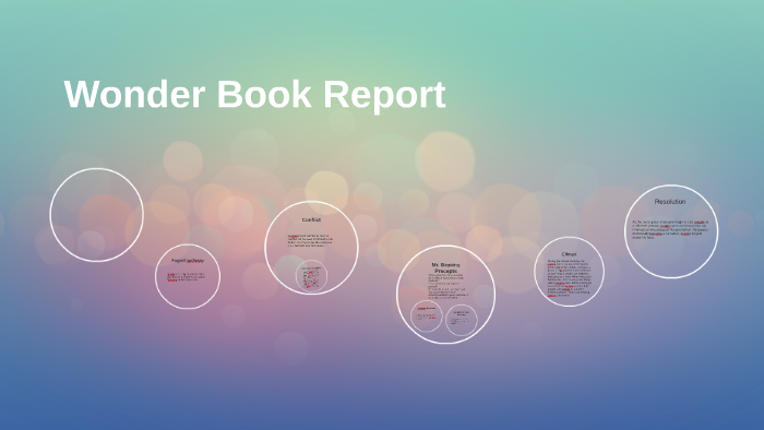 the book wonder book report