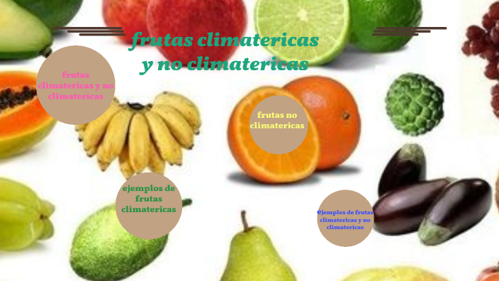frutas climatericas y no climatericas by aracely milit sanchez cardenas