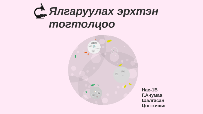 Ялгаруулах эрхтэн тогтолцоо by М. Цэгмид on Prezi