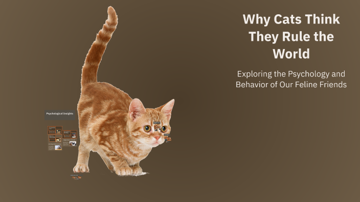 Why Cats Think They Rule the World by GamerHells on Prezi
