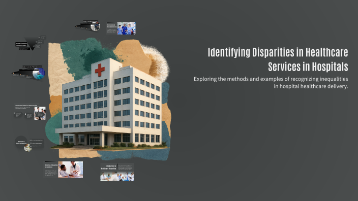 Identifying Disparities in Healthcare Services in Hospitals by Claude ...