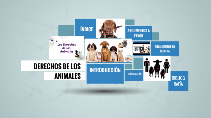 DERECHOS DE LOS ANIMALES by Carmen Díaz Saavedra on Prezi
