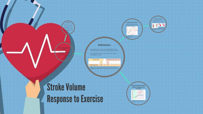 What Is The Stroke Volume Response To Exercise