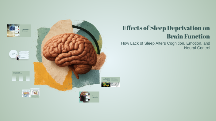 Effects of Sleep Deprivation on Brain Function by rabi ali on Prezi
