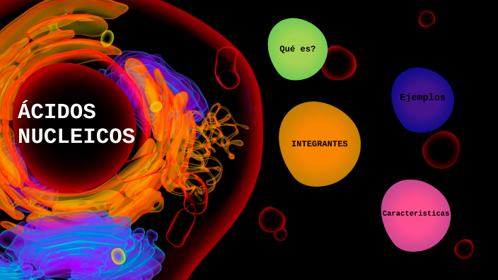 Acidos Nucleicos by Jesus Longoria Cervantes on Prezi