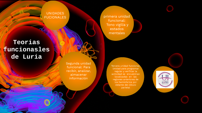 Teorías funcionales de Luria by Azalia Ramirez Romero on Prezi