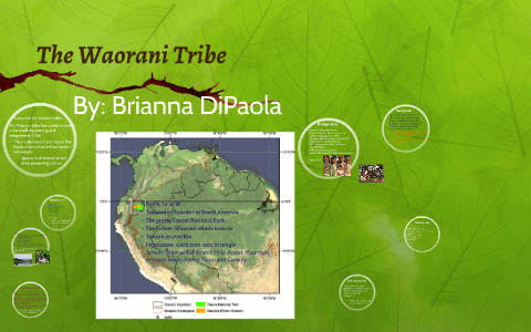 The Waorani Tribe By Brianna Dipaola On Prezi
