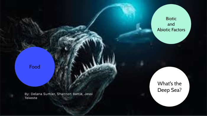 Deep Sea by Shannon Battle on Prezi