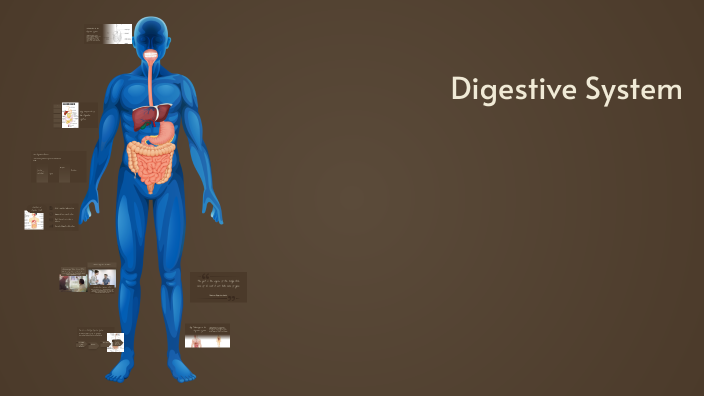 Understanding the Digestive System by Sebastian Kubisiak on Prezi