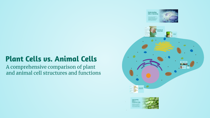 Plant Cells vs. Animal Cells by Bassem Mohammed on Prezi