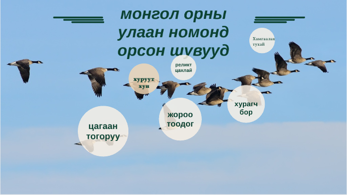 монгол орны улаан номонд орсон шувууд by Pvgii Pvgii on Prezi