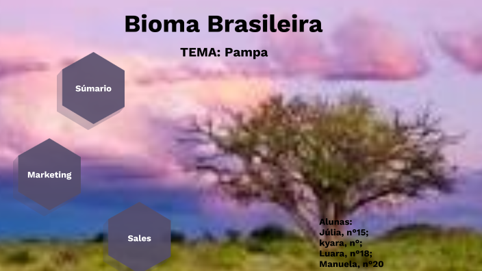 Pampa Bioma Brasileiro by Nayra Graziellen Ferrera Da Silva on Prezi