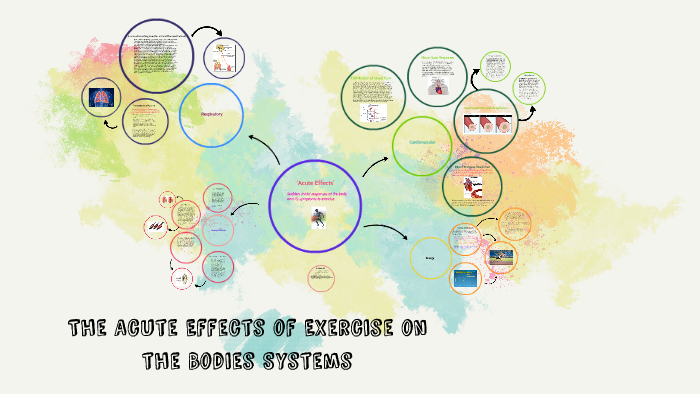 The Acute Effects of Exercise on the Bodies Systems by Charlotte Smith ...