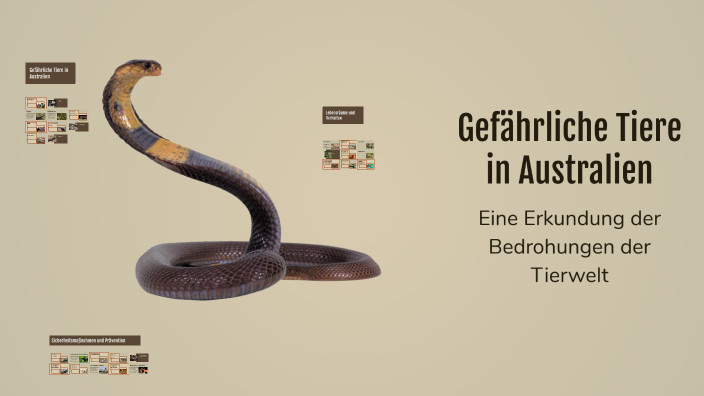 Elegantes Australiens Gefahrliche Tiere Ebenbildnull