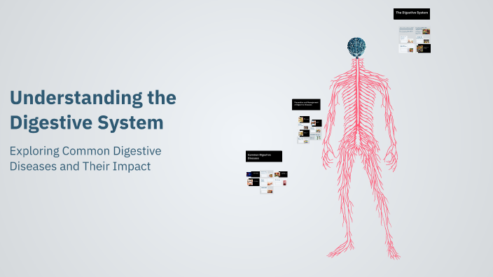 Understanding the Digestive System by justine montes on Prezi