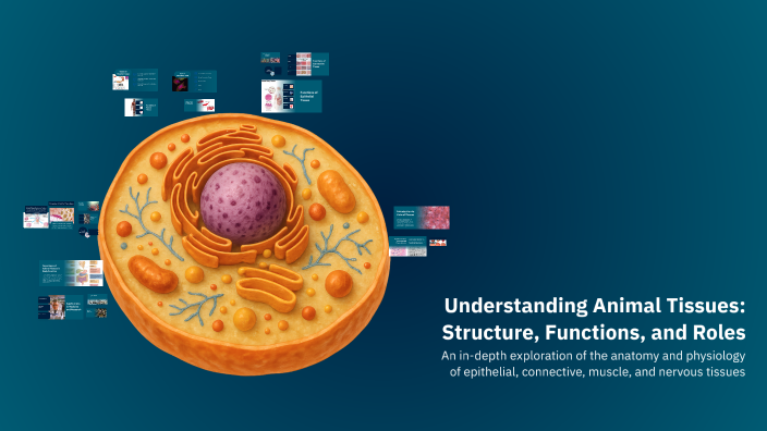 Understanding Animal Tissues: Structure, Functions, and Roles by Gizzle ...