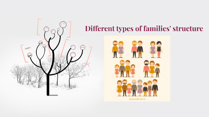 diff-rent-types-of-family-structure-by-zixin-wang