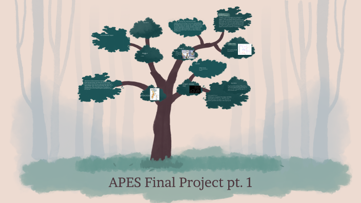 Final Project pt. 1 by Casey Tucker on Prezi
