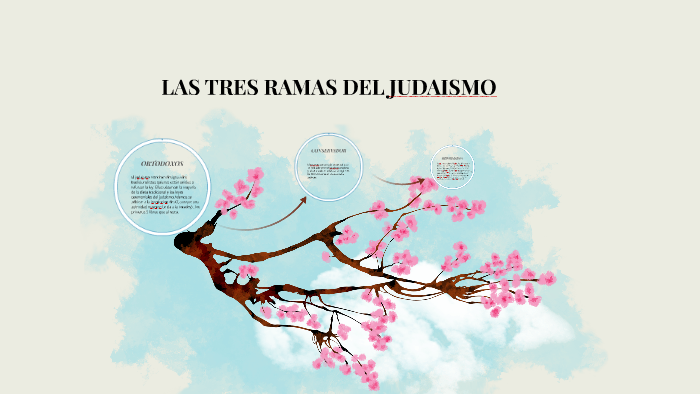 LAS RAMAS DEL by Jose Ceron
