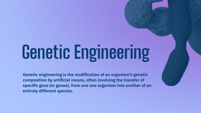 Genetic Engineering of Human Insulin by Fathiyah Damit on Prezi