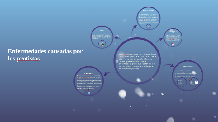 ejemplo de protista de la malaria