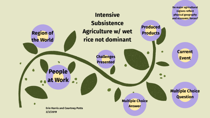intensive subsistence agriculture wet rice dominant