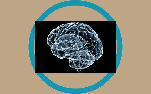 Le fonctionnement de la memoire by Brittany Dupuis on Prezi