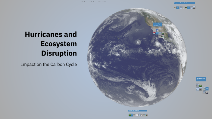 Hurricanes and Ecosystem Disruption by Dyllan Ochoa on Prezi