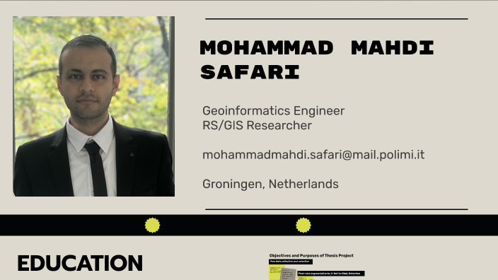 Job interview by mohammad mahdi safari on Prezi