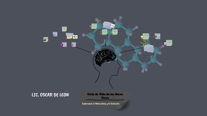 Explorando El Ciclo De Vida De Los Seres Vivos By Oscar De Leon On Prezi Explorando El Ciclo De Vida De Los Seres Vivos By Oscar De Leon On Prezi