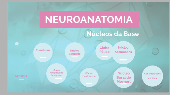 NEUROANATOMIA: Núcleos da Base by Fernanda Pinheiro on Prezi