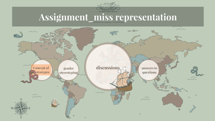 miss representation assignment