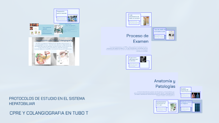 PROTOCOLOS DE ESTUDIO EN EL SISTEMA HEPATOBILIAR by jhonatan stiven ...