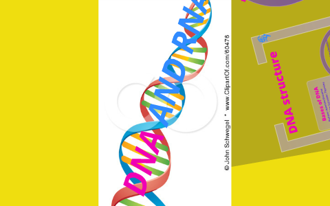 DNA and RNA watch out! by tessa byers on Prezi