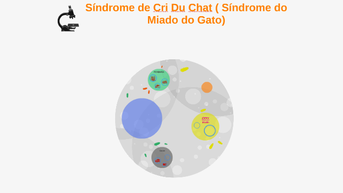 Síndrome de Cri Du Chat (Síndrome do Miado do Gato) by Mariana Ataide ...