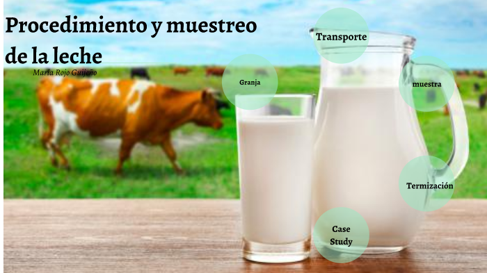 procedimiento y muestreo de la leche by maria rojo guijeño on Prezi