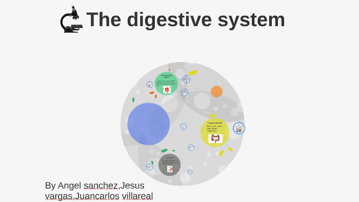 The digestive system by angel sanchez on Prezi