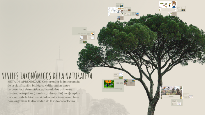 Reinos de la Naturaleza by Karina Isabel Serrano Sánchez on Prezi