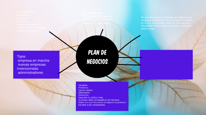 PLAN DE NEGOCIOS by Alexis Lopez on Prezi