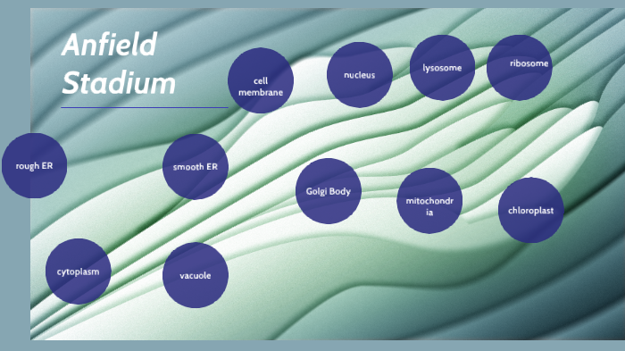 Cell Analogy - Anfield Stadium by Alisa Bugnatto on Prezi